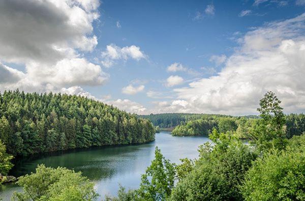 Вилла Le Gagnage 31 Pers- Malmedy, Rustique, Vue, Wellness Экстерьер фото