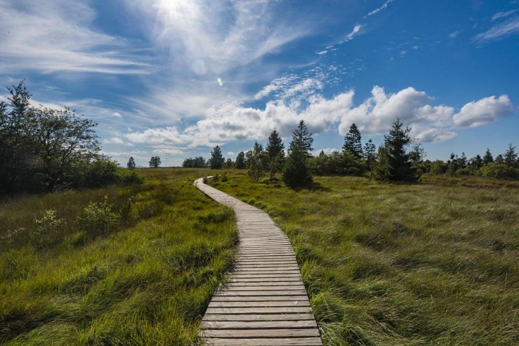Вилла Le Gagnage 31 Pers- Malmedy, Rustique, Vue, Wellness Экстерьер фото